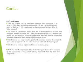 electrontransportchain fully explained-.pptx