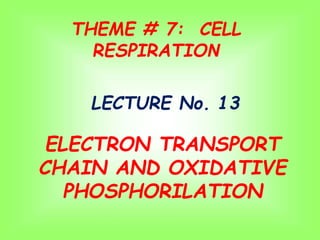 THEME # 7: CELL
RESPIRATION
LECTURE No. 13
ELECTRON TRANSPORT
CHAIN AND OXIDATIVE
PHOSPHORILATION
 