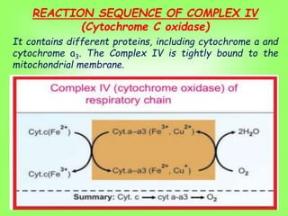 ELECTRON TRANSPORT CHAIN AND OXIDATIVE PHOSPHORYLATION.ppt