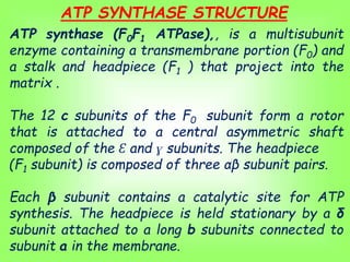 ELECTRON TRANSPORT CHAIN AND OXIDATIVE PHOSPHORYLATION.ppt