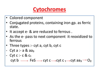 Electron transport chain (etc) | PPTX