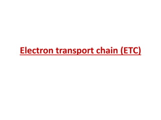 Electron transport chain (ETC)
 