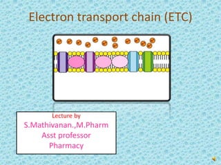 Electron transport chain (ETC)
Lecture by
S.Mathivanan.,M.Pharm
Asst professor
Pharmacy
 