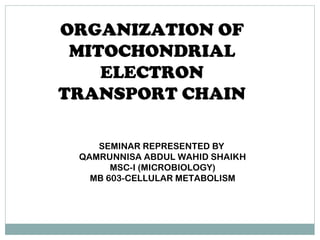 ORGANIZATION OF
MITOCHONDRIAL
ELECTRON
TRANSPORT CHAIN
SEMINAR REPRESENTED BY
QAMRUNNISA ABDUL WAHID SHAIKH
MSC-I (MICROBIOLOGY)
MB 603-CELLULAR METABOLISM
 
