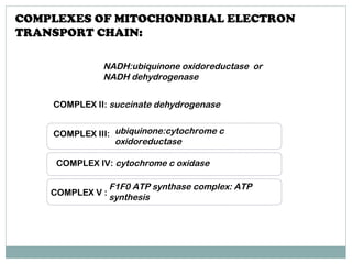 NADH:ubiquinone oxidoreductase or
NADH dehydrogenase
COMPLEX II: succinate dehydrogenase
ubiquinone:cytochrome c
oxidoreductase
COMPLEX III:
COMPLEX IV: cytochrome c oxidase
F1F0 ATP synthase complex: ATP
synthesis
COMPLEX V :
COMPLEXES OF MITOCHONDRIAL ELECTRON
TRANSPORT CHAIN:
 