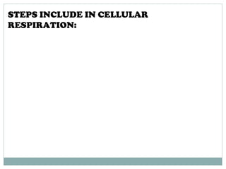 STEPS INCLUDE IN CELLULAR
RESPIRATION:
 