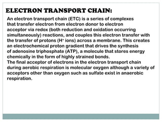 ELECTRON TRANSPORT CHAIN:
An electron transport chain (ETC) is a series of complexes
that transfer electron from electron donor to electron
acceptor via redox (both reduction and oxidation occurring
simultaneously) reactions, and couples this electron transfer with
the transfer of protons (H+
 ions) across a membrane. This creates
an electrochemical proton gradient that drives the synthesis
of adenosine triphosphate (ATP), a molecule that stores energy
chemically in the form of highly strained bonds.
The final acceptor of electrons in the electron transport chain
during aerobic respiration is molecular oxygen although a variety of
acceptors other than oxygen such as sulfate exist in anaerobic
respiration.
 