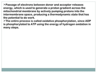 Passage of electrons between donor and acceptor releases
energy, which is used to generate a proton gradient across the
mitochondrial membrane by actively pumping protons into the
intermembrane space, producing a thermodynamic state that has
the potential to do work.
The entire process is called oxidative phosphorylation, since ADP
is phosphorylated to ATP using the energy of hydrogen oxidation in
many steps.
 