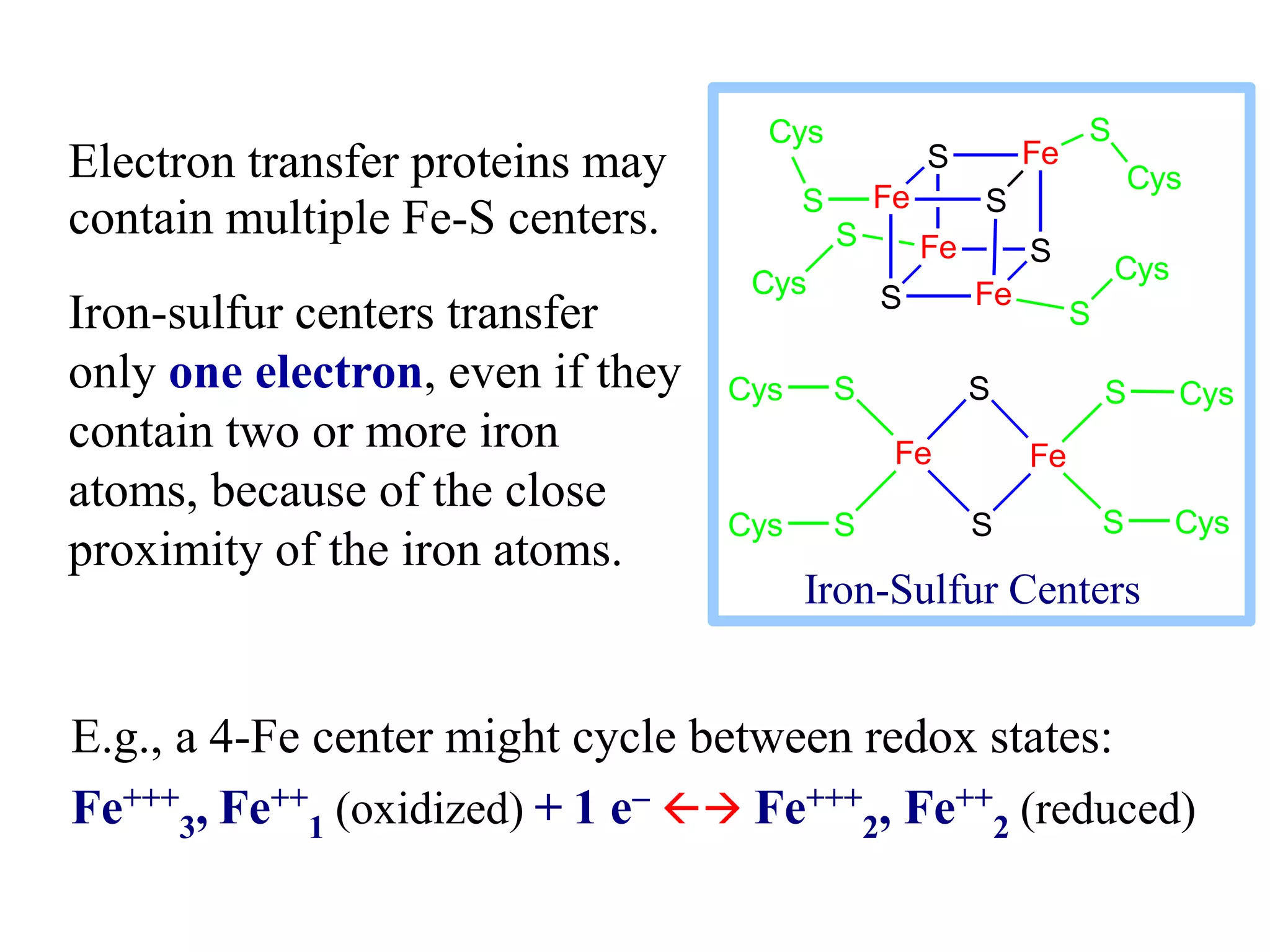 Electron Transport Chain lecture.ppt