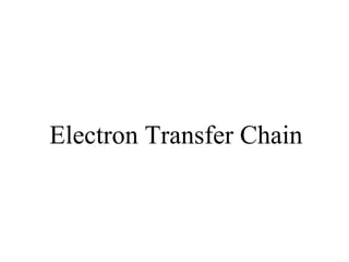 Electron Transfer Chain
 