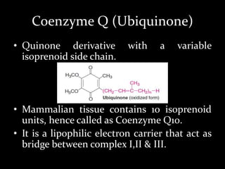 Coenzyme Q (Ubiquinone)
• Quinone derivative with a variable
isoprenoid side chain.
• Mammalian tissue contains 10 isoprenoid
units, hence called as Coenzyme Q10.
• It is a lipophilic electron carrier that act as
bridge between complex I,II & III.
 