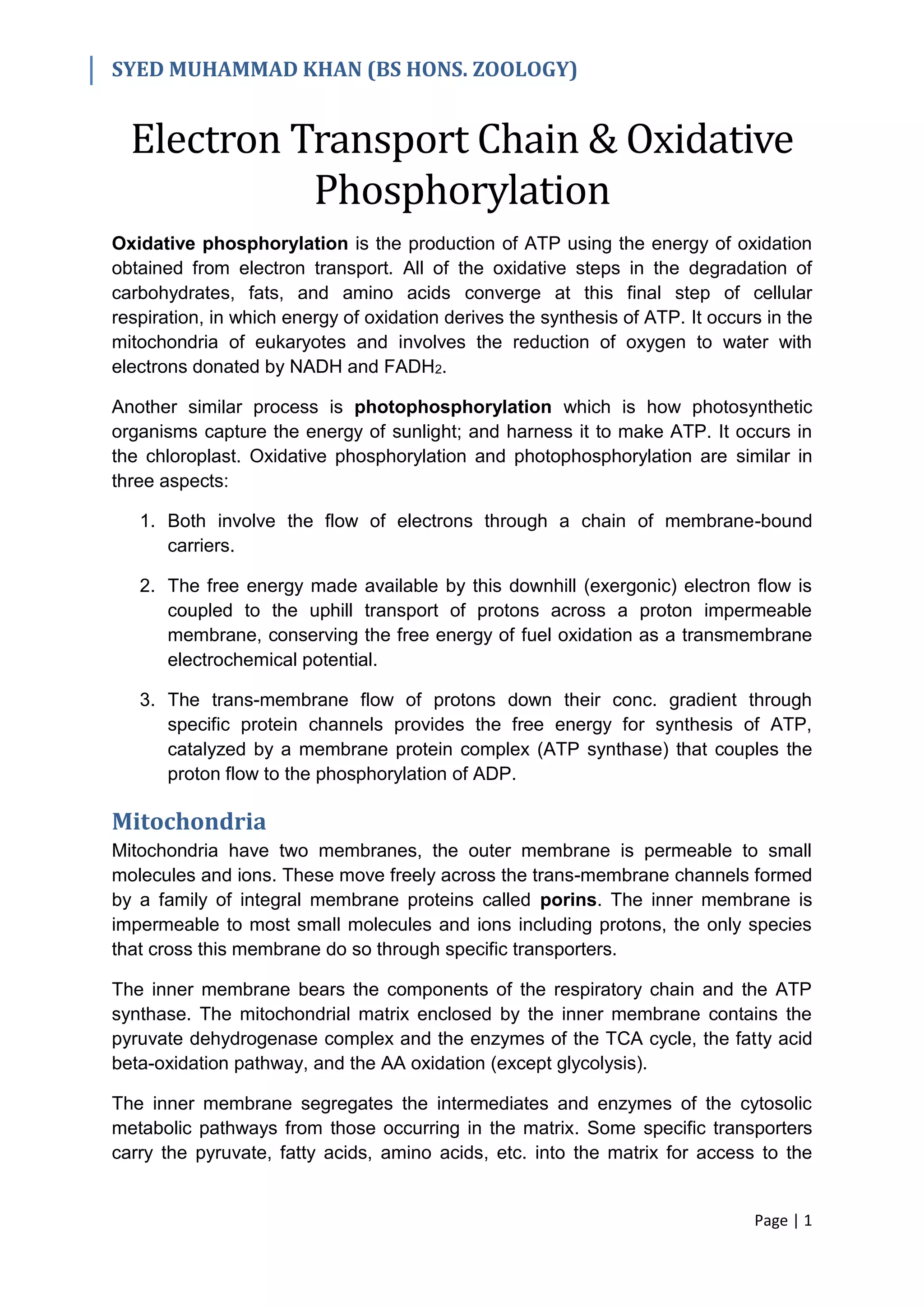Electron Transport Chain & Oxidative Phosphorylation | PDF