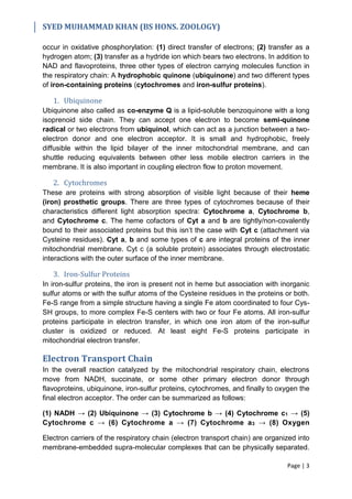 Electron Transport Chain & Oxidative Phosphorylation | PDF
