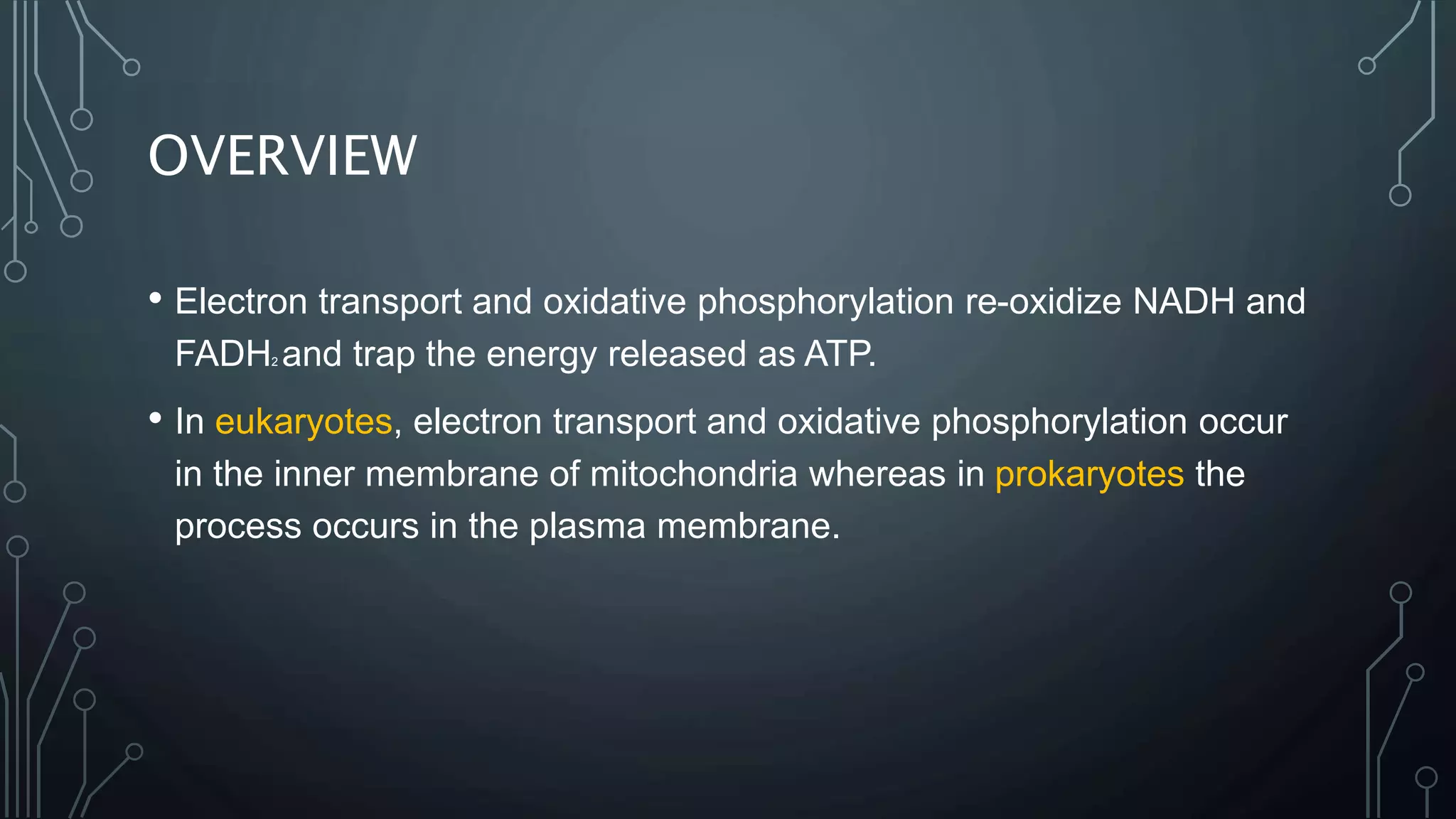 Electron transport chain & oxidative phosphorylation | PPTX