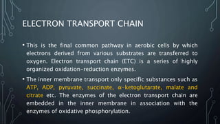 ELECTRON TRANSPORT CHAIN
• This is the final common pathway in aerobic cells by which
electrons derived from various substrates are transferred to
oxygen. Electron transport chain (ETC) is a series of highly
organized oxidation-reduction enzymes.
• The inner membrane transport only specific substances such as
ATP, ADP, pyruvate, succinate, α-ketoglutarate, malate and
citrate etc. The enzymes of the electron transport chain are
embedded in the inner membrane in association with the
enzymes of oxidative phosphorylation.
 