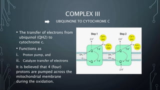 COMPLEX III
UBIQUINONE TO CYTOCHROME C
• The transfer of electrons from
ubiquinol (QH2) to
cytochrome c.
• Functions as
i. Proton pump, and
ii. Catalyze transfer of electrons
It is believed that 4 (four)
protons are pumped across the
mitochondrial membrane
during the oxidation.
 