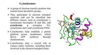 Electron Transport Proteins.pdf