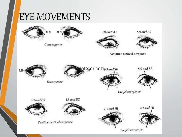 electro oculography electro oculography