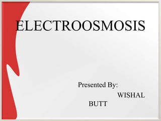 ELECTROOSMOSIS
Presented By:
WISHAL
BUTT
 