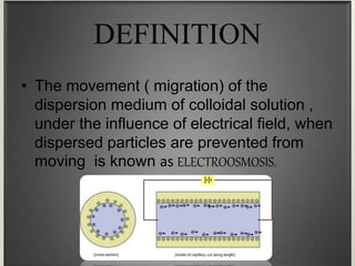 DEFINITION
• The movement ( migration) of the
dispersion medium of colloidal solution ,
under the influence of electrical field, when
dispersed particles are prevented from
moving is known as ELECTROOSMOSIS.
 