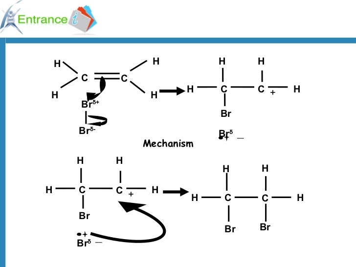 Electrophilic addition of bromine ok1294987406