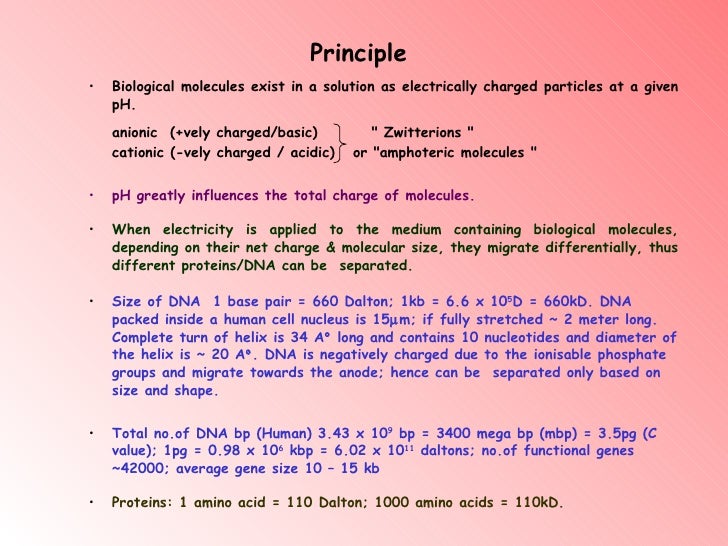 Electrophoresis