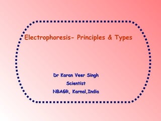 Electrophoresis- Principles & Types




         Dr Karan Veer Singh
              Scientist
         NBAGR, Karnal,India
 