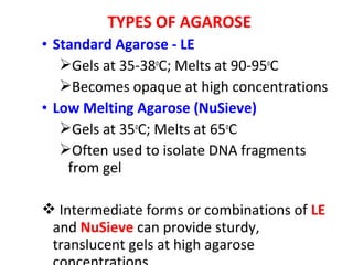 TYPES OF AGAROSE
• Standard Agarose - LE
Gels at 35-38o
C; Melts at 90-95o
C
Becomes opaque at high concentrations
• Low Melting Agarose (NuSieve)
Gels at 35o
C; Melts at 65o
C
Often used to isolate DNA fragments
from gel
 Intermediate forms or combinations of LE
and NuSieve can provide sturdy,
translucent gels at high agarose
 