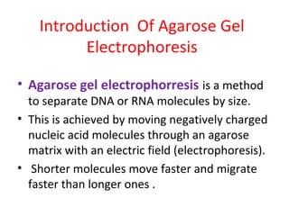 Introduction Of Agarose Gel
Electrophoresis
• Agarose gel electrophorresis is a method
to separate DNA or RNA molecules by size.
• This is achieved by moving negatively charged
nucleic acid molecules through an agarose
matrix with an electric field (electrophoresis).
• Shorter molecules move faster and migrate
faster than longer ones .
 