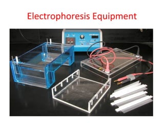 Electrophoresis Equipment
 
