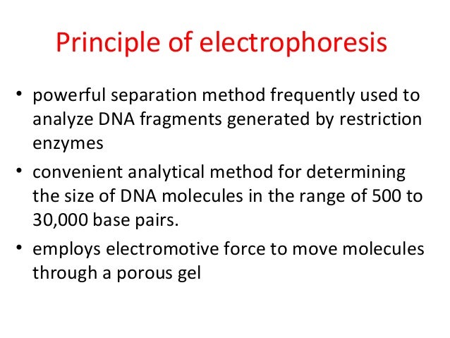 agarose gel electrophoresis