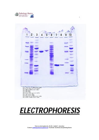 1

ELECTROPHORESIS
Notes on electrophoresis.. By Dr. Ashish V. Jawarkar
Contact: pathologybasics@gmail.com Facebook: facebook.com/pathologybasics

 