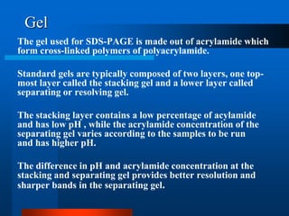 Gel 
The gel used for SDS-PAGE is made out of acrylamide which form cross-linked polymers of polyacrylamide. 
Standard gels are typically composed of two layers, one top- most layer called the stacking gel and a lower layer called separating or resolving gel. 
The stacking layer contains a low percentage of acylamide and has low pH , while the acrylamide concentration of the separating gel varies according to the samples to be run and has higher pH. 
The difference in pH and acrylamide concentration at the stacking and separating gel provides better resolution and sharper bands in the separating gel.  