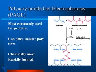 17 
Polyacrylamide Gel Electrophoresis (PAGE) 
Most commonly used for proteins. 
Can offer smaller pore sizes. 
Chemically inert 
Rapidly formed.  