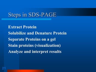 21 
Steps in SDS-PAGE 
Extract Protein 
Solubilize and Denature Protein 
Separate Proteins on a gel 
Stain proteins (visualization) 
Analyze and interpret results  