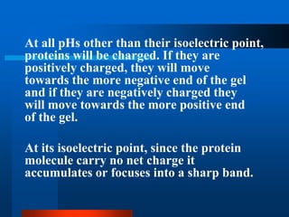 At all pHs other than their isoelectric point, proteins will be charged. If they are positively charged, they will move towards the more negative end of the gel and if they are negatively charged they will move towards the more positive end of the gel. 
At its isoelectric point, since the protein molecule carry no net charge it accumulates or focuses into a sharp band.  