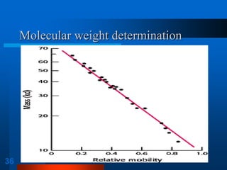 36 
Molecular weight determination  