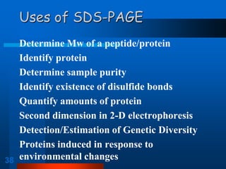 38 
Uses of SDS-PAGE 
Determine Mw of a peptide/protein 
Identify protein 
Determine sample purity 
Identify existence of disulfide bonds 
Quantify amounts of protein 
Second dimension in 2-D electrophoresis 
Detection/Estimation of Genetic Diversity 
Proteins induced in response to environmental changes  