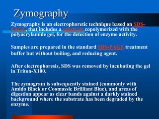 Zymography 
-SDS 
Zymography is an electrophoretic technique based on copolymerized with the substrate, that includes a PAGEpolyacrylamide gel, for the detection of enzyme activity. 
Samples are prepared in the standard SDS-PAGE treatment 
buffer but without boiling, and reducing agent. 
After electrophoresis, SDS was removed by incubating the gel in Triton-X100. 
The zymogram is subsequently stained (commonly with Amido Black or Coomassie Brilliant Blue), and areas of digestion appear as clear bands against a darkly stained background where the substrate has been degraded by the enzyme. 
 