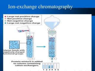 Ion-exchange chromatography  