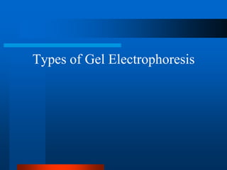 Types of Gel Electrophoresis  