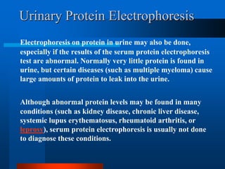 Urinary Protein Electrophoresis 
Electrophoresis on protein in urine may also be done, especially if the results of the serum protein electrophoresis test are abnormal. Normally very little protein is found in urine, but certain diseases (such as multiple myeloma) cause large amounts of protein to leak into the urine. 
Although abnormal protein levels may be found in manyconditions (such as kidney disease, chronic liver disease, systemic lupus erythematosus, rheumatoid arthritis, or leprosy), serum protein electrophoresis is usually not done to diagnose these conditions.  