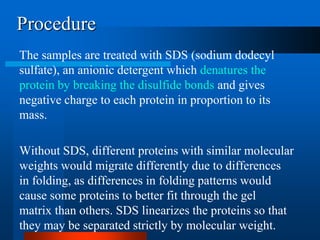 Procedure 
The samples are treated with SDS (sodium dodecyl sulfate), an anionic detergent which denatures the protein by breaking the disulfide bondsand gives negative charge to each protein in proportion to its mass. 
Without SDS, different proteins with similar molecular weights would migrate differently due to differences in folding, as differences in folding patterns would cause some proteins to better fit through the gel matrix than others. SDS linearizes the proteins so that they may be separated strictly by molecular weight.  