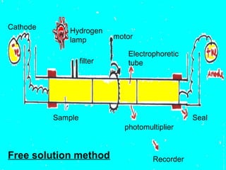 18
Cathode
Hydrogen
lamp motor
Electrophoretic
tubefilter
Sample
photomultiplier
Recorder
Seal
Free solution method
 
