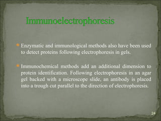 Enzymatic and immunological methods also have been used
to detect proteins following electrophoresis in gels.
Immunochemical methods add an additional dimension to
protein identification. Following electrophoresis in an agar
gel backed with a microscope slide, an antibody is placed
into a trough cut parallel to the direction of electrophoresis.
24
 