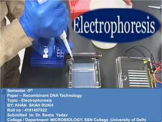 Semester -5th
Paper – Recombinant DNA Technology
Topic - Electrophoresis
BY: KHAN SHAH RUKH
Roll no : 4181457022
Submitted to: Dr. Sweta Yadav
College / Department: MICROBIOLOGY, SSN College ;University of Delhi
 