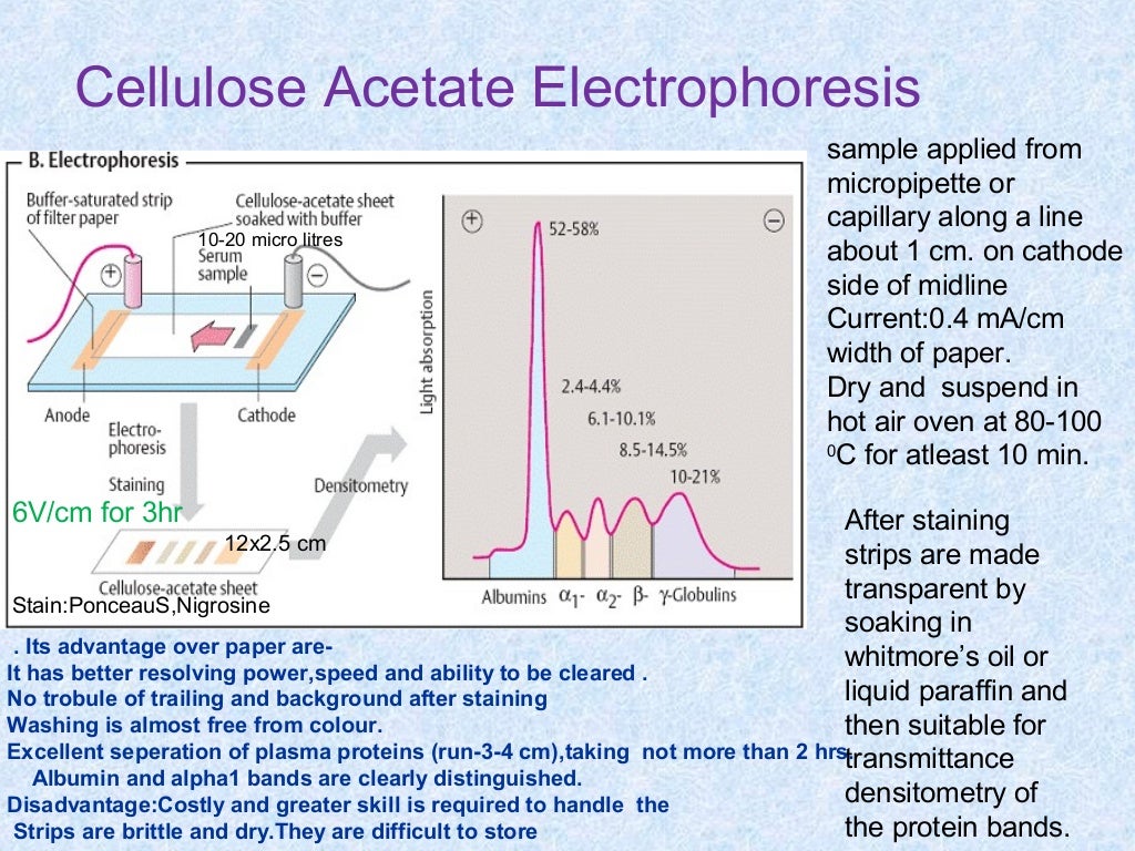 Electrophoresis