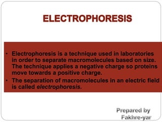 • Electrophoresis is a technique used in laboratories
in order to separate macromolecules based on size.
The technique applies a negative charge so proteins
move towards a positive charge.
• The separation of macromolecules in an electric field
is called electrophoresis.
 