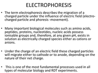 ELECTROPHORESIS
• The term electrophoresis describes the migration of a
charged particle under the influence of electric field (electro-
charged particle and phoresis -movement).
• Many important biological molecules such as amino acids,
peptides, proteins, nucleotides, nucleic acids possess
ionisable groups and, therefore, at any given pH, exists in
solution as electrically charged species either as cations or
anions.
• Under the charge of an electric field these charged particles
will migrate either to cathode or to anode, depending on the
nature of their net charge.
• This is one of the most fundamental processes used in all
types of molecular biology and RDT experiments.
 