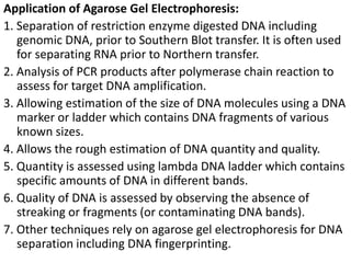 Application of Agarose Gel Electrophoresis:
1. Separation of restriction enzyme digested DNA including
genomic DNA, prior to Southern Blot transfer. It is often used
for separating RNA prior to Northern transfer.
2. Analysis of PCR products after polymerase chain reaction to
assess for target DNA amplification.
3. Allowing estimation of the size of DNA molecules using a DNA
marker or ladder which contains DNA fragments of various
known sizes.
4. Allows the rough estimation of DNA quantity and quality.
5. Quantity is assessed using lambda DNA ladder which contains
specific amounts of DNA in different bands.
6. Quality of DNA is assessed by observing the absence of
streaking or fragments (or contaminating DNA bands).
7. Other techniques rely on agarose gel electrophoresis for DNA
separation including DNA fingerprinting.
 